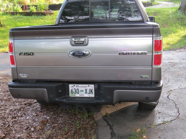 First Detail-2010 Ford F150 Platinum