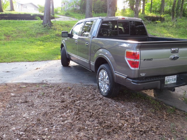 First Detail-2010 Ford F150 Platinum