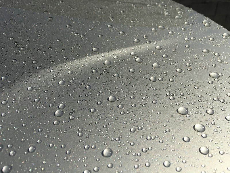 First_Wash_Trunk