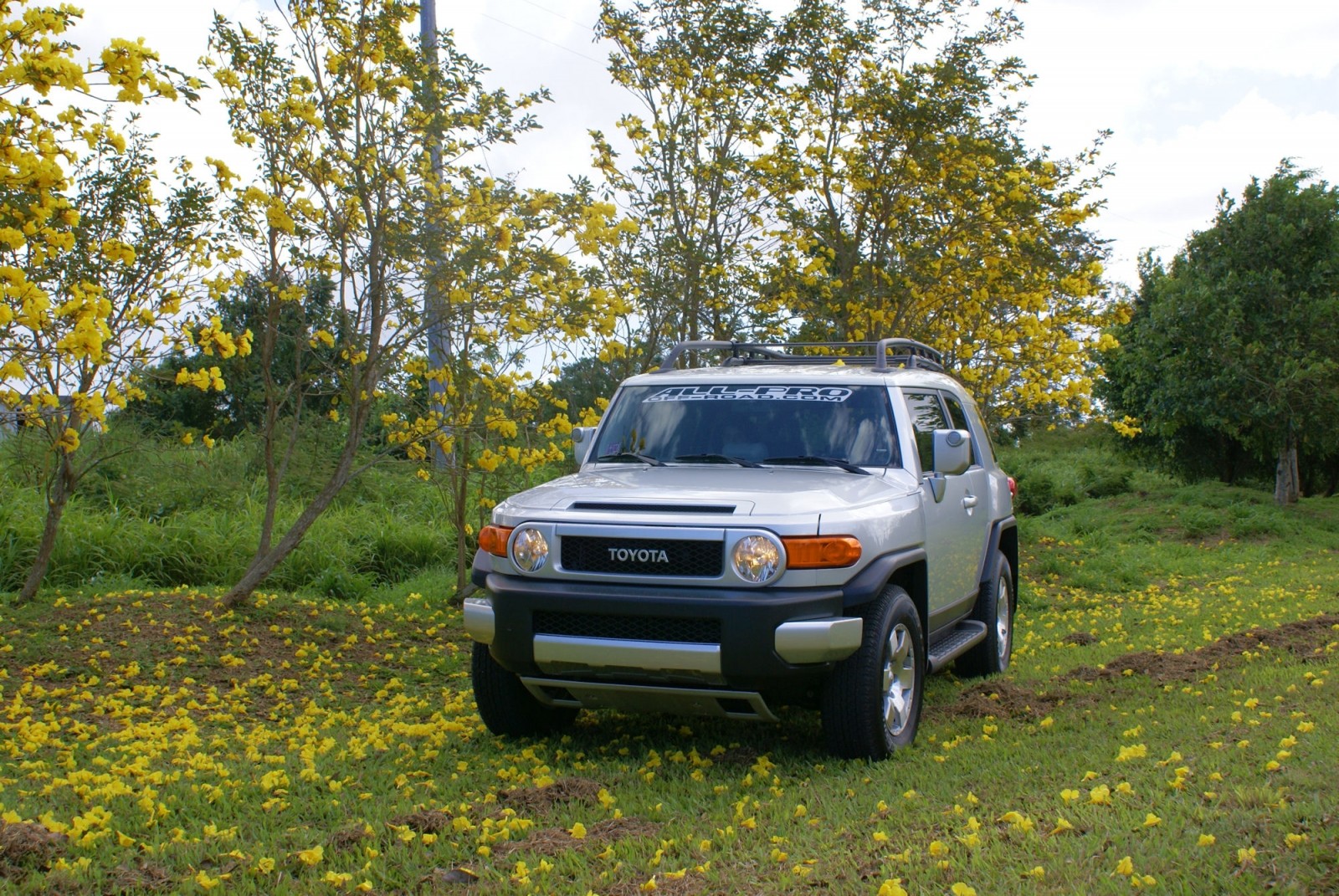 FJ CRUISER   2007