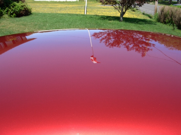 Flag Reflection