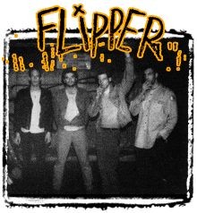 Flipper2