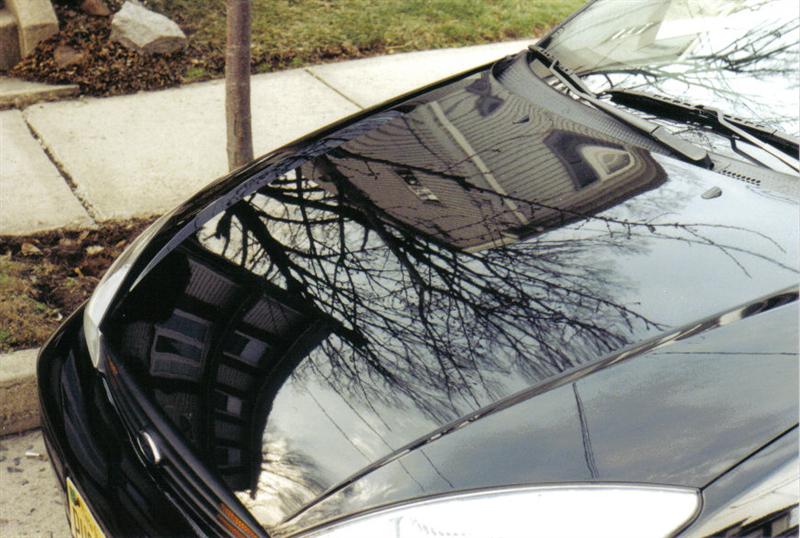 Focus Hood