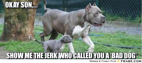 frabz-OkaY-SON-SHOW-ME-THE-JERK-WHO-CALLED-YOU-A-BAD-DOG-8149d9
