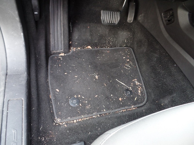 frontdriverfloorb4