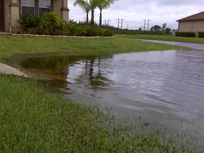 frontyard