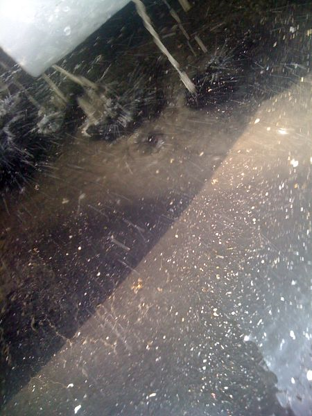 fuzzy_liner_re2