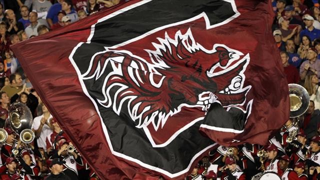 gamecocks