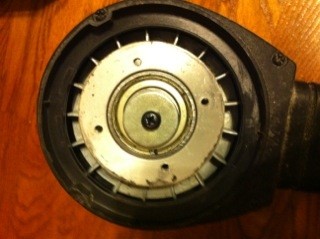 GG_after_plate_removal