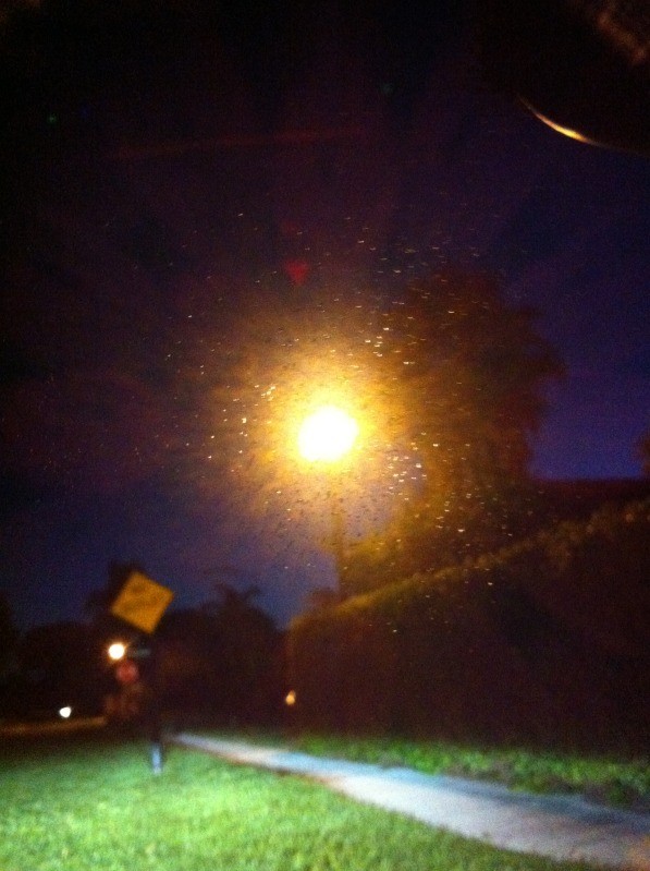 Glass Scratches Dots