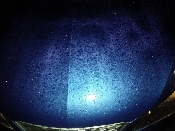 glaze, rain repellent, polymer, wax, sharkpolitur