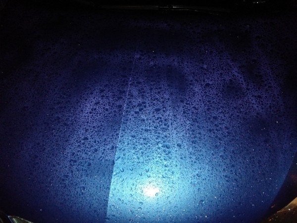 glaze, rain repellent, polymer, wax, sharkpolitur