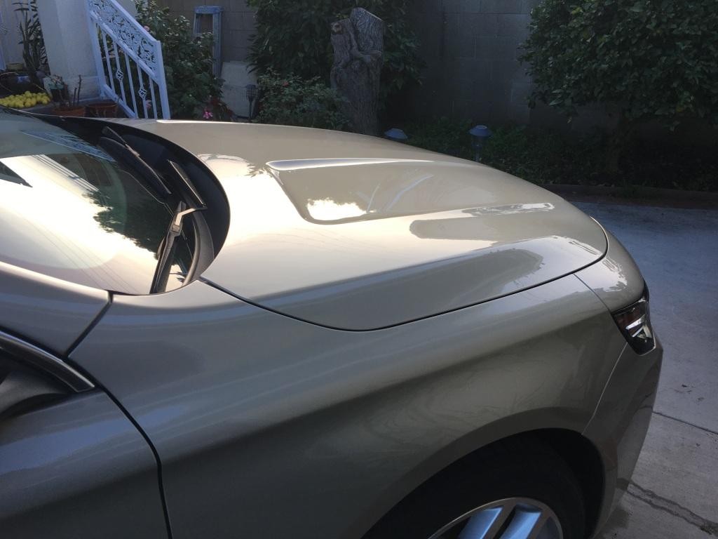 Gloss Coat + ONR + Ech20