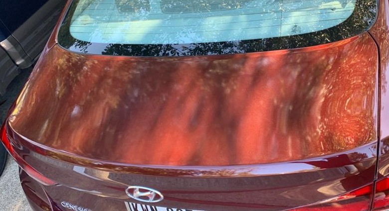 Gloss_dye_Back_03