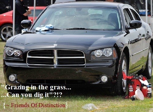 grazing