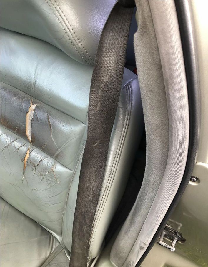 GrossSeatBelts