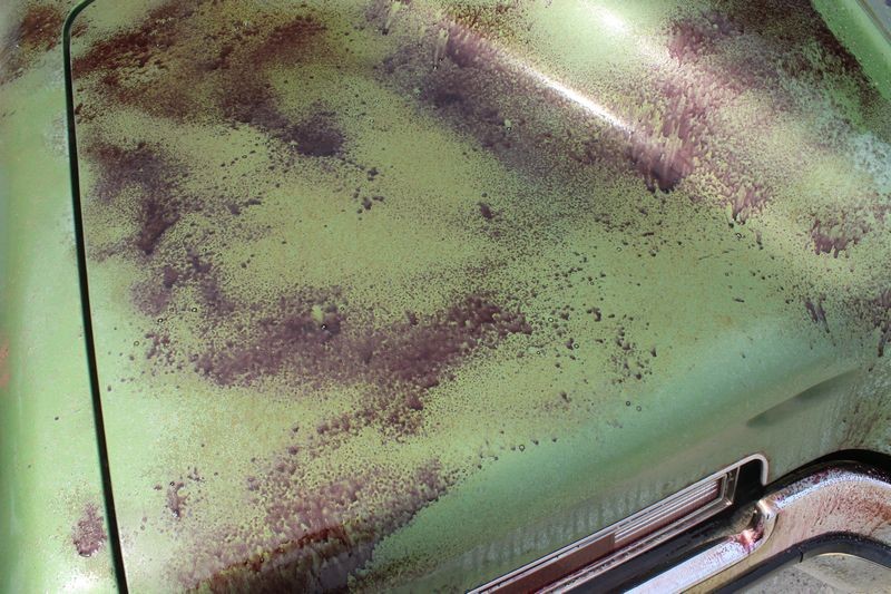GTechniq Citrus Foam and Iron Remover Mike Phillips