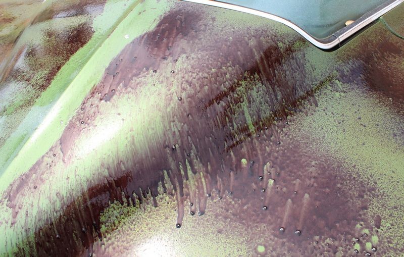 GTechniq Citrus Foam and Iron Remover Mike Phillips