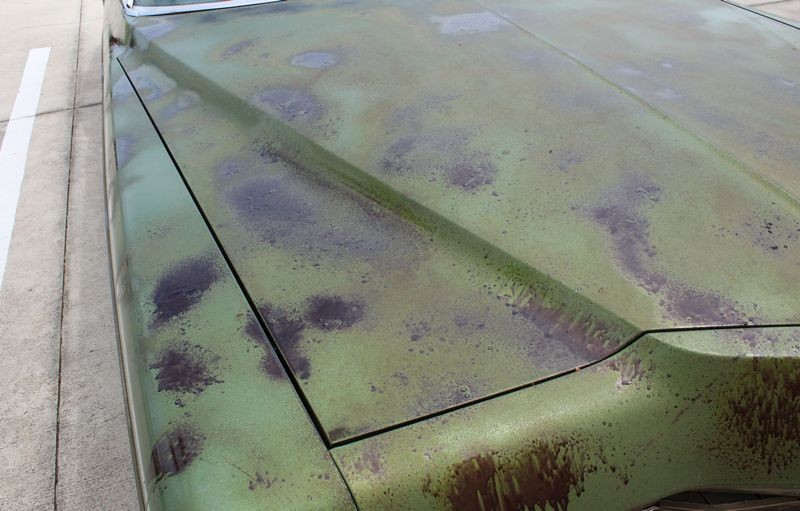 GTechniq Citrus Foam and Iron Remover Mike Phillips