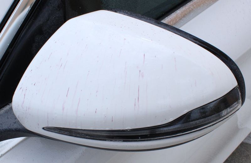 GTechniq W6 Iron and Fallout Remover Mike Phillips