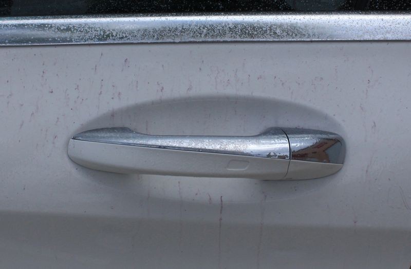 GTechniq W6 Iron and Fallout Remover Mike Phillips