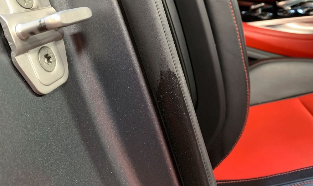 GummiPfleger SONAX Door Rubber Gasket Protectant