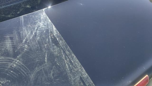 hammered_Paint