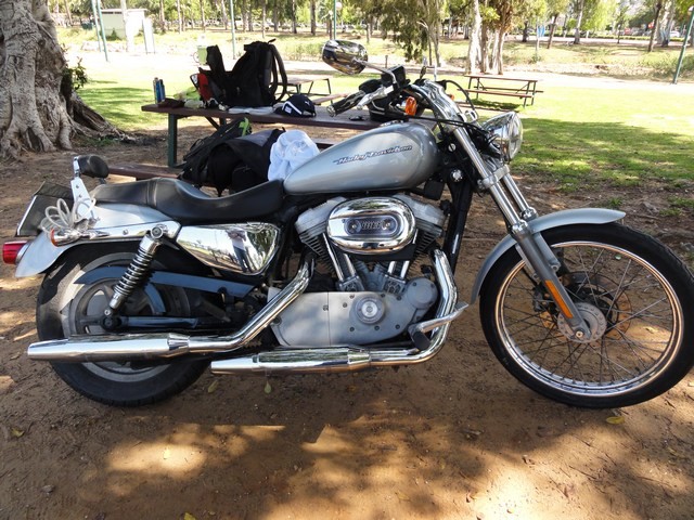 Harley Davidson Sportster 883 Custom
