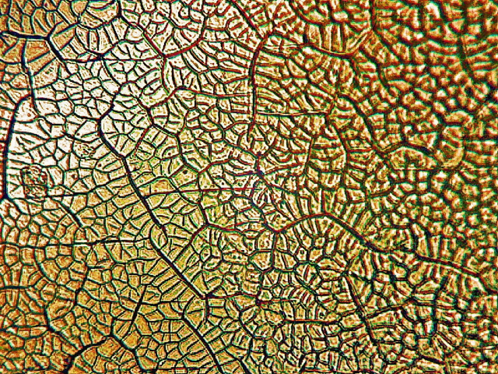 Headlight surface images
