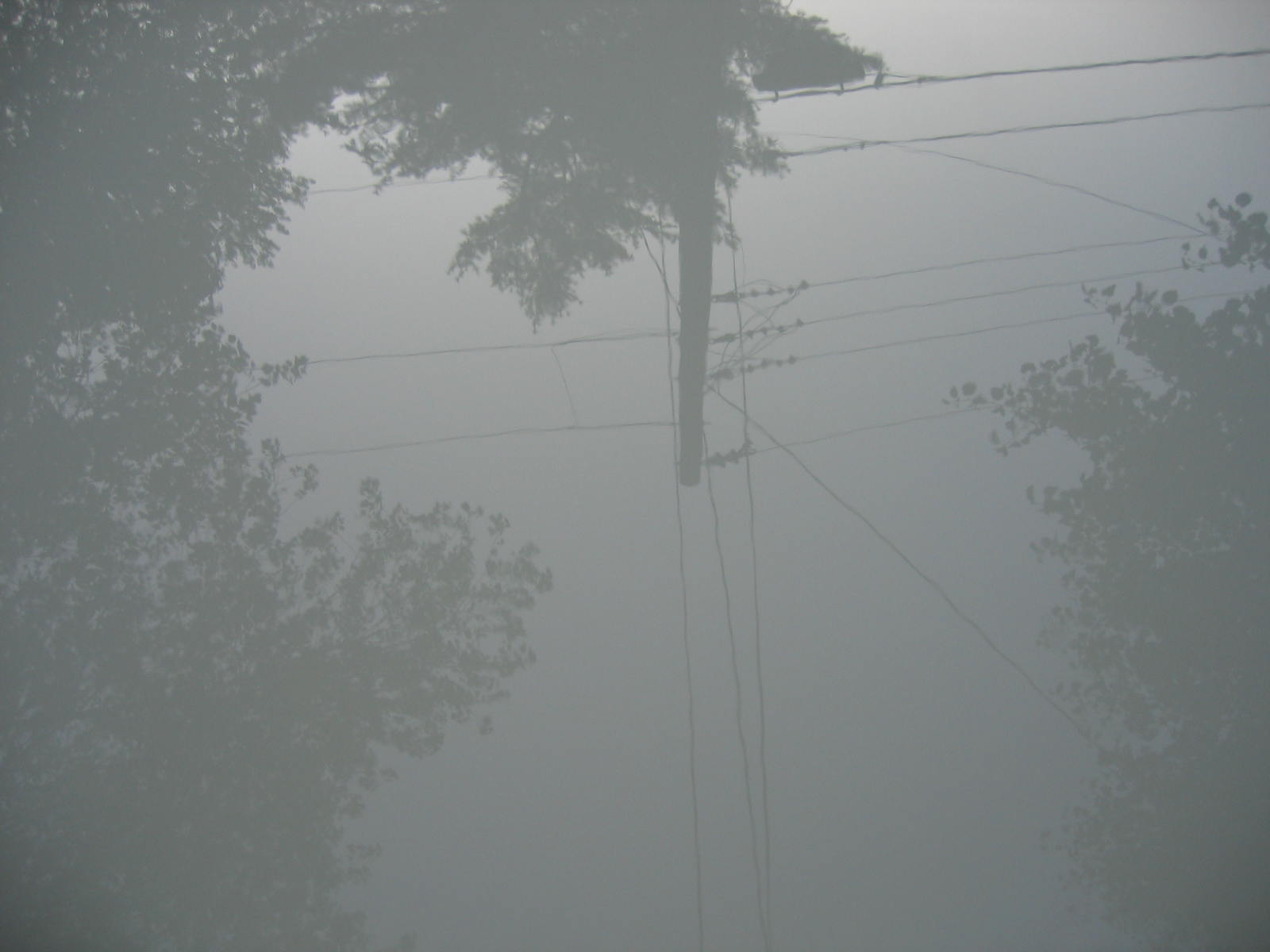 Hood 08 300C