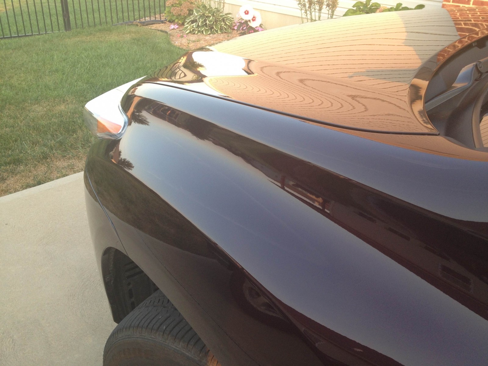 Hood and fender final