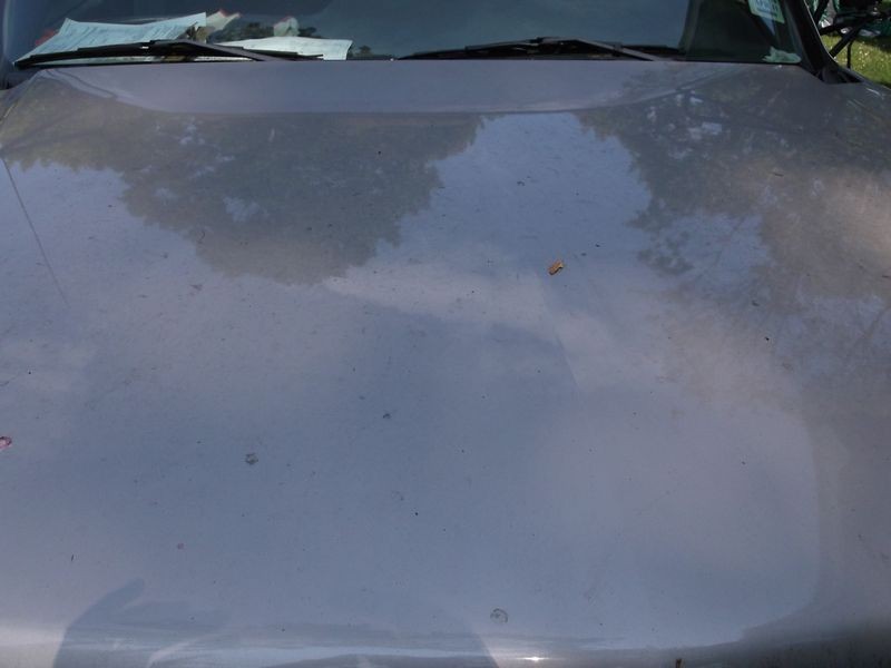 Hood before
