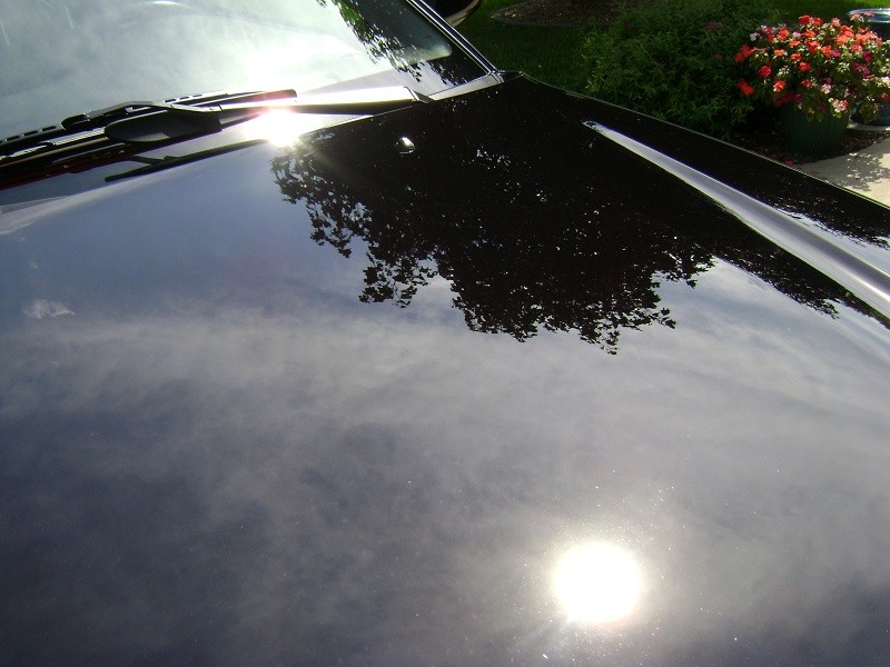 Hood Reflection