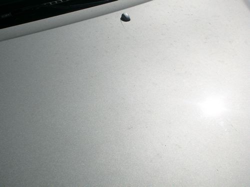 Hood_Close_up_Before