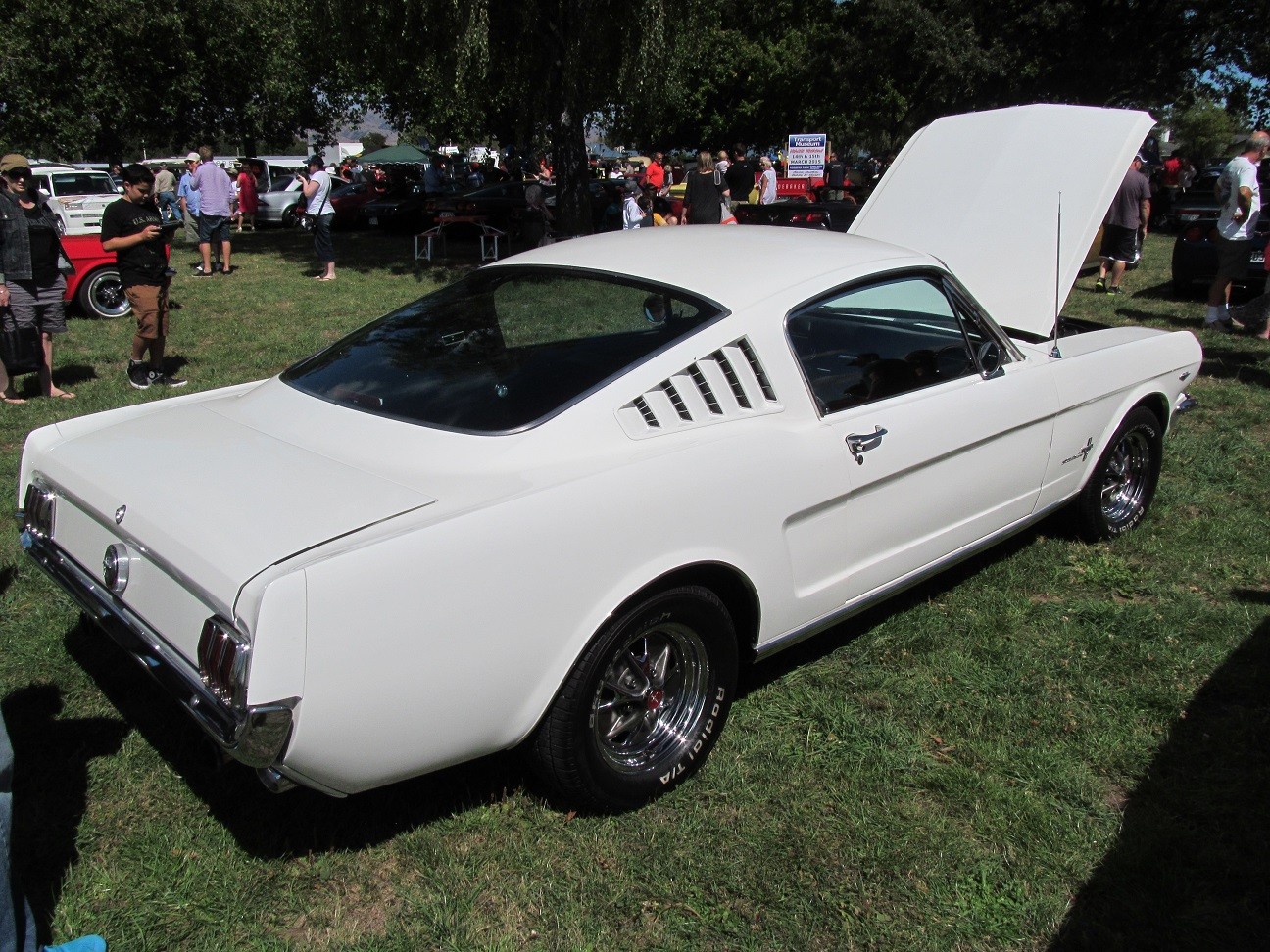 Hospice_Car_Show_021a
