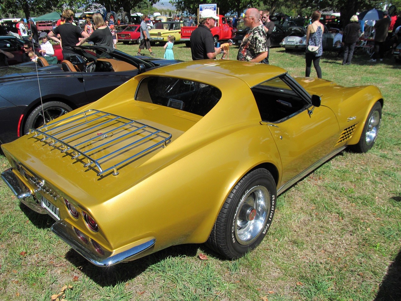 Hospice_Car_Show_024a