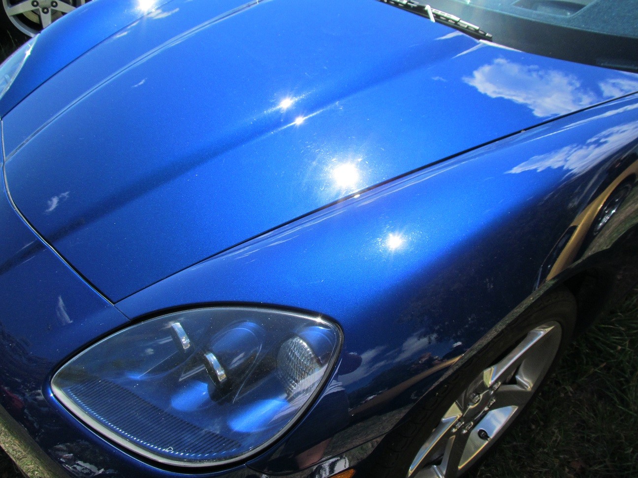 Hospice_Car_Show_025a