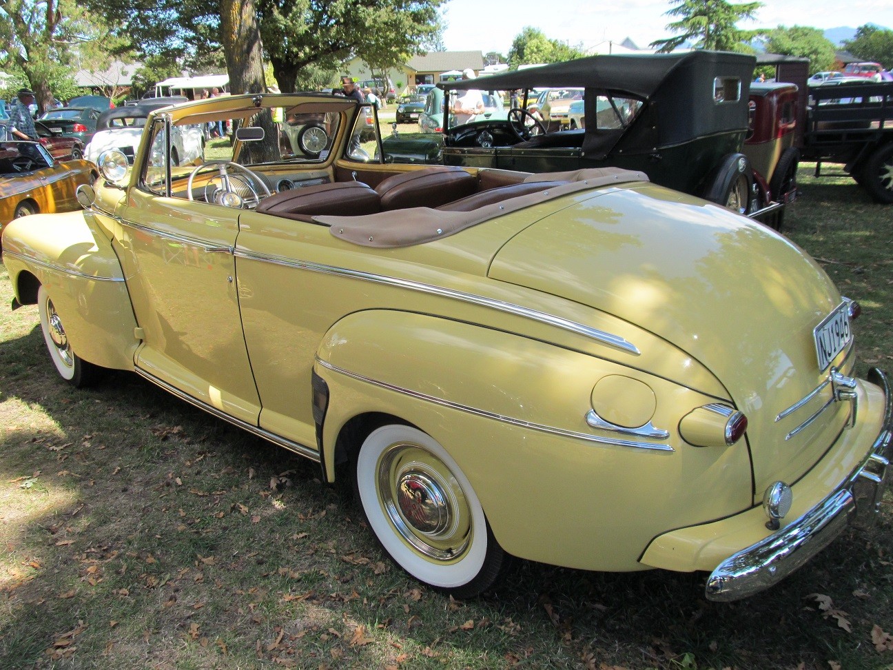Hospice_Car_Show_031a