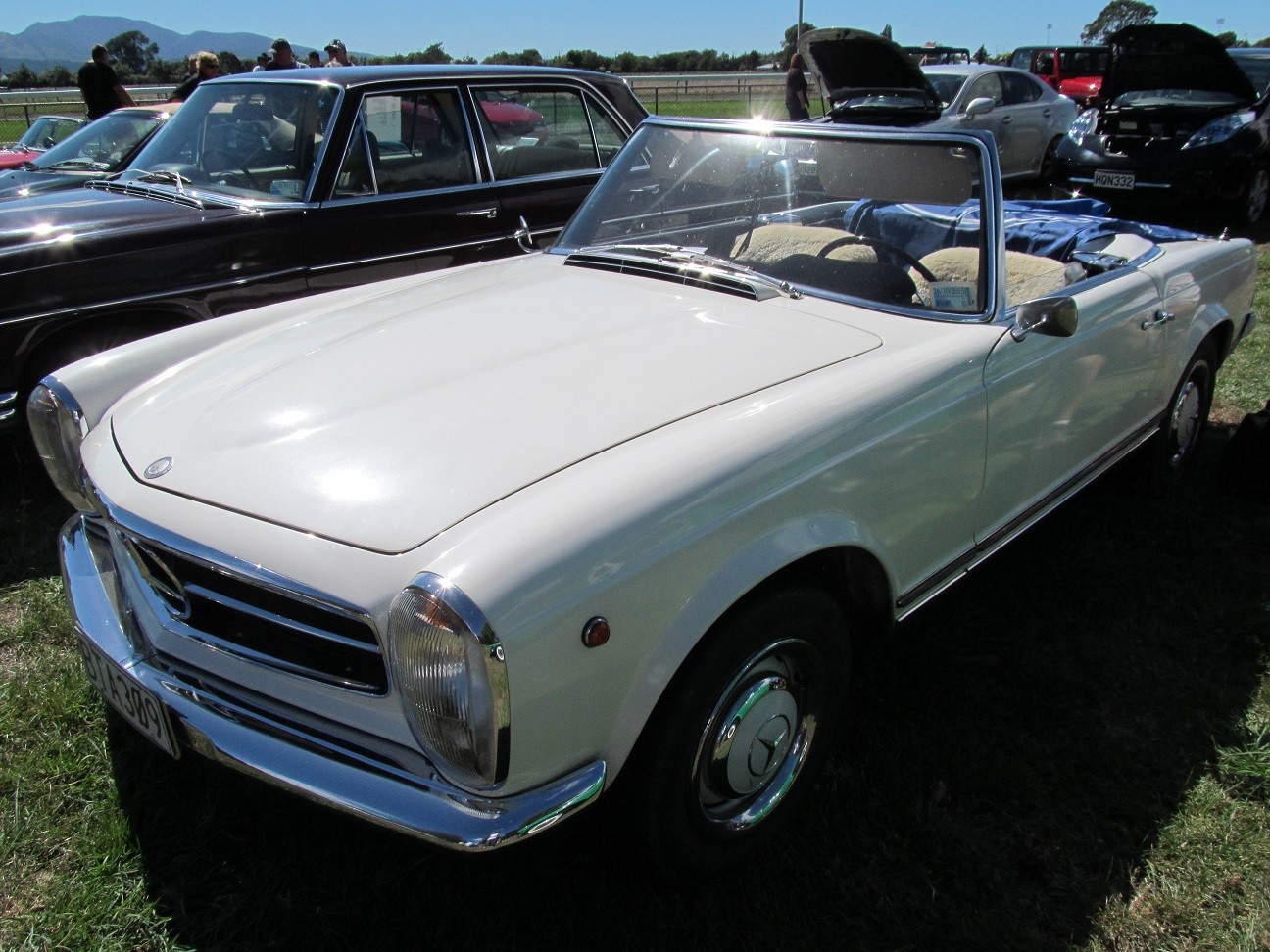 Hospice_Car_Show_040a