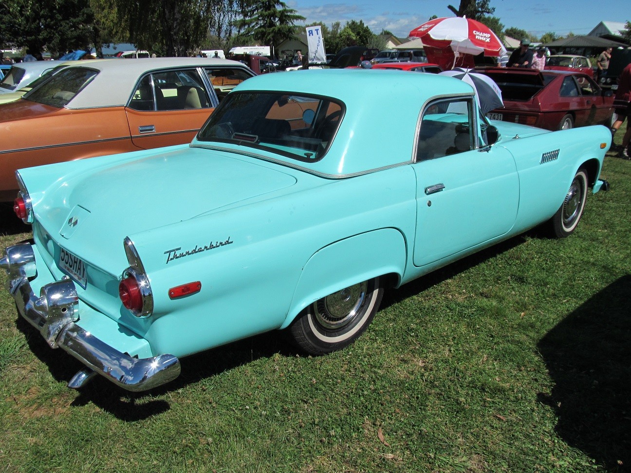 Hospice_Car_Show_042a