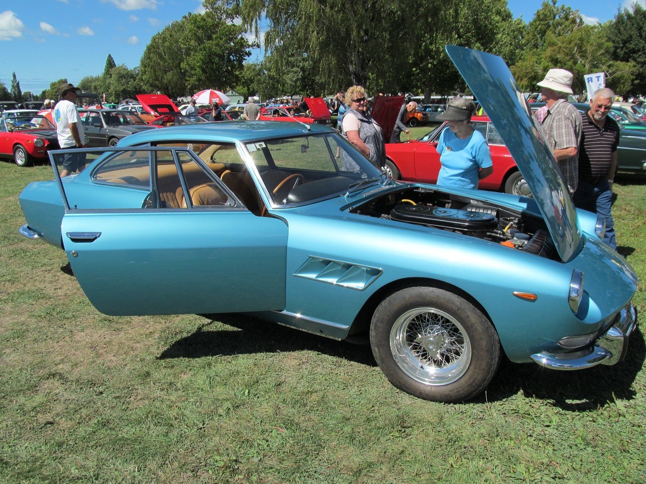 Hospice_Car_Show_044a