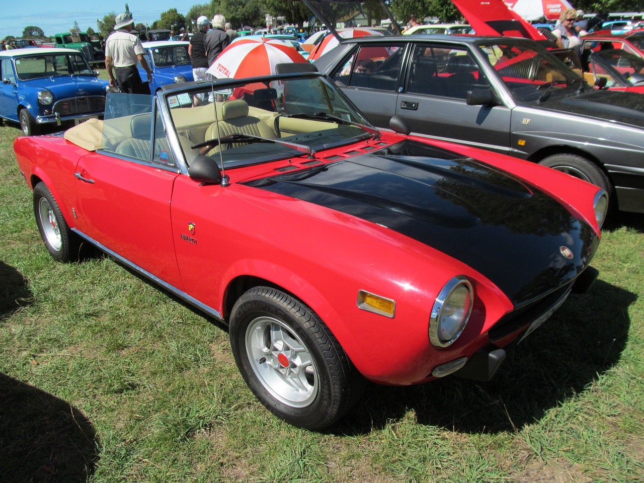 Hospice_Car_Show_045a