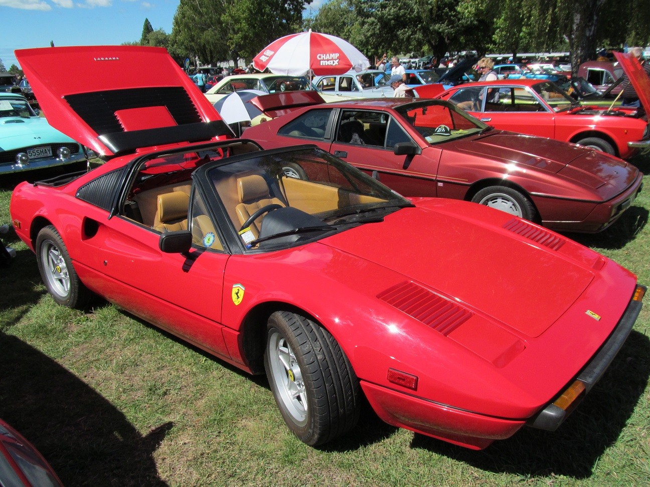 Hospice_Car_Show_047a