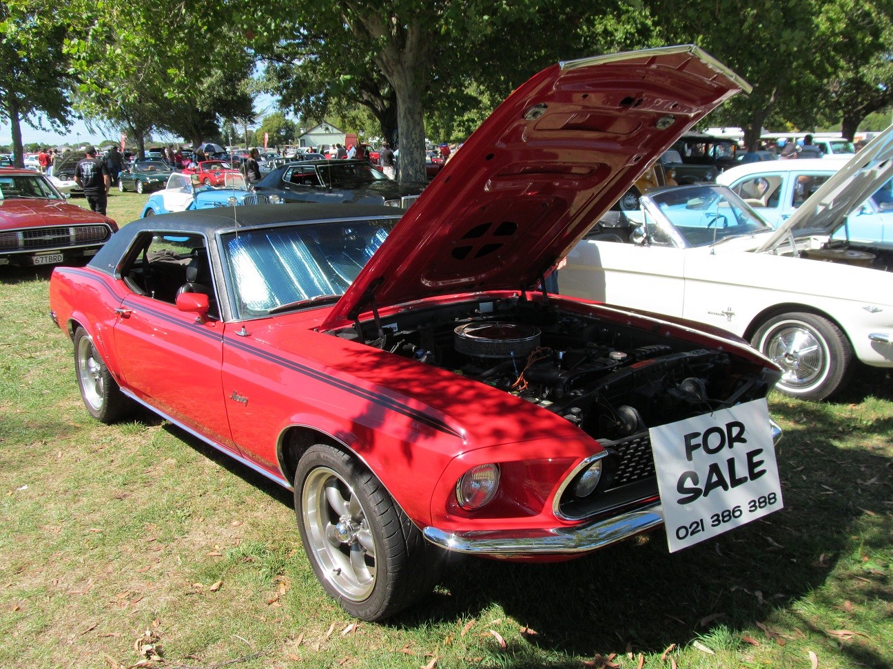 Hospice_Car_Show_053a
