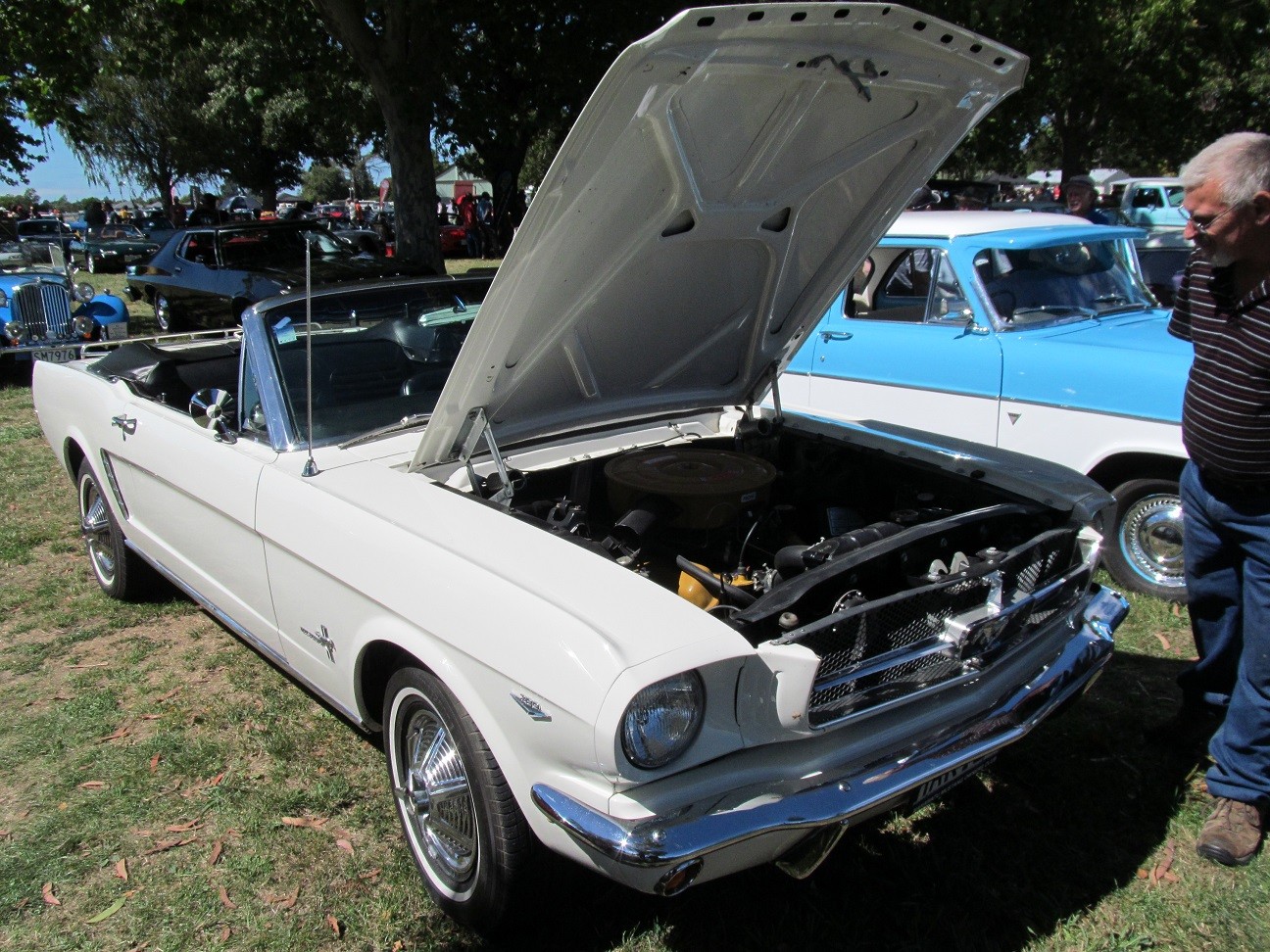 Hospice_Car_Show_054a