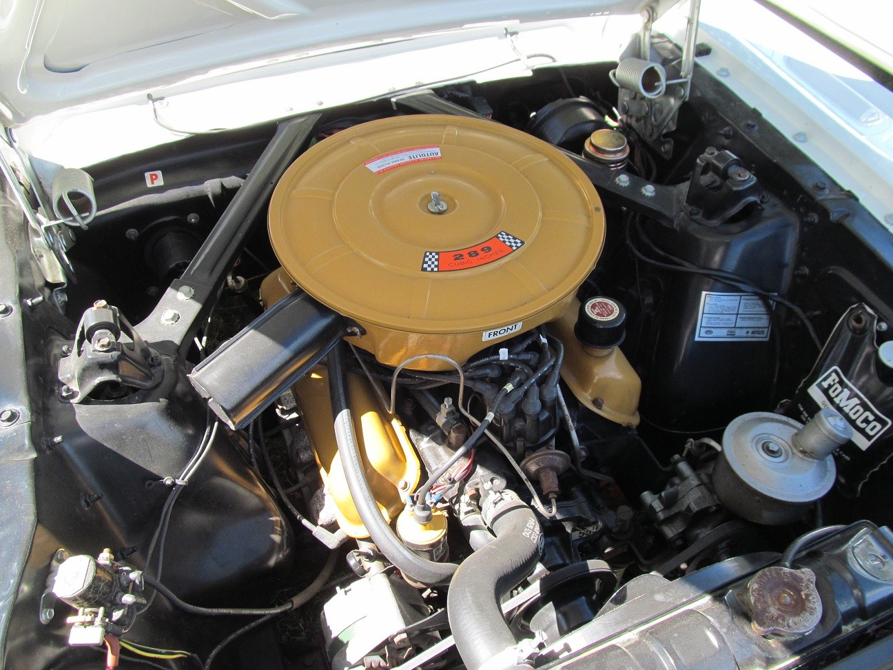 Hospice_Car_Show_055a