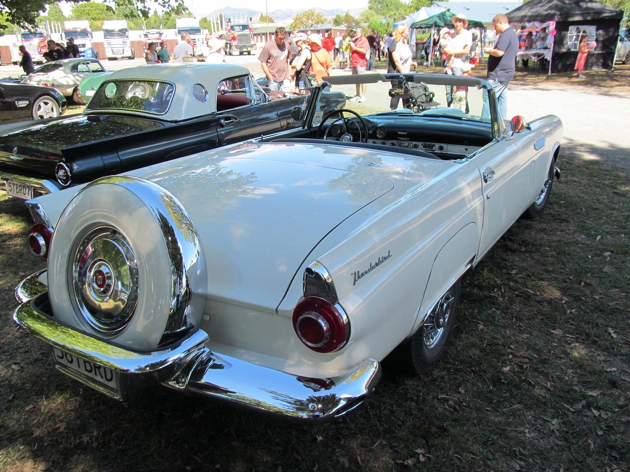 Hospice_Car_Show_061a1