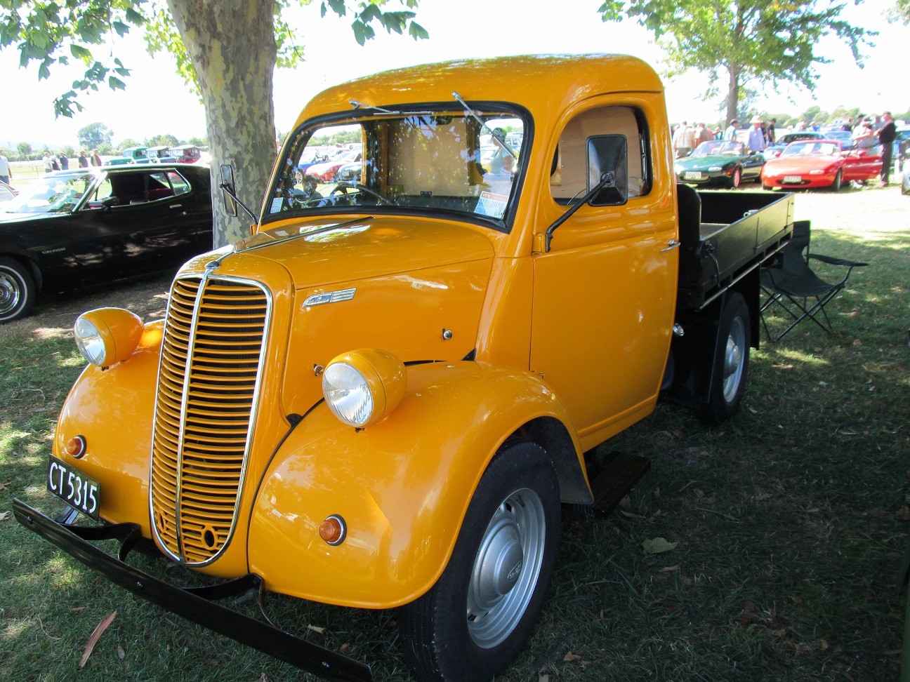 Hospice_Car_Show_073a