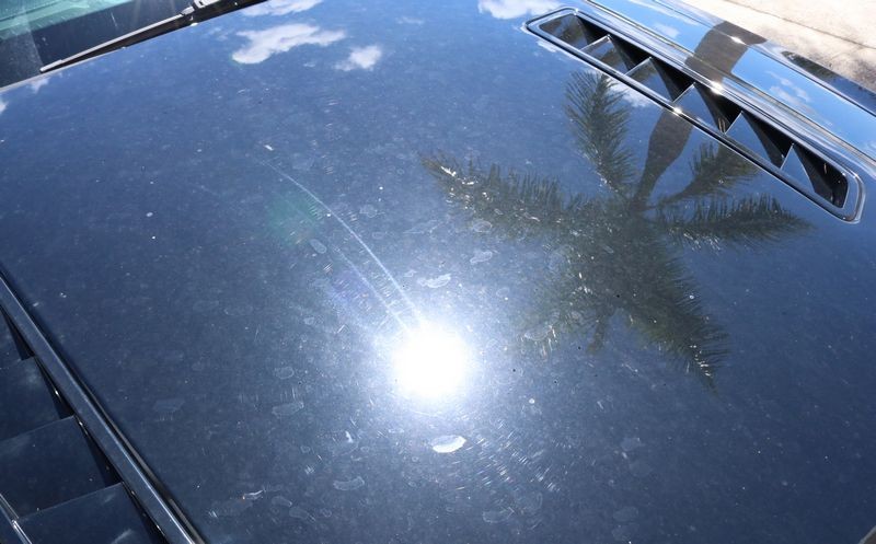 How to polish BLACK Paint on a Mustang Mike Phillips Autogeek