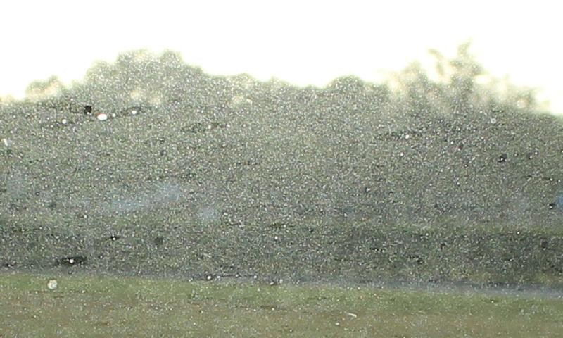 How to remove glare from windshield Mike Phillips Autogeek